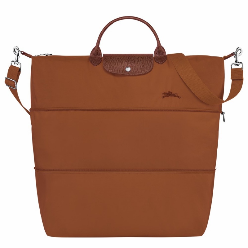 Brown Longchamp Le Pliage Men's Travel Bags